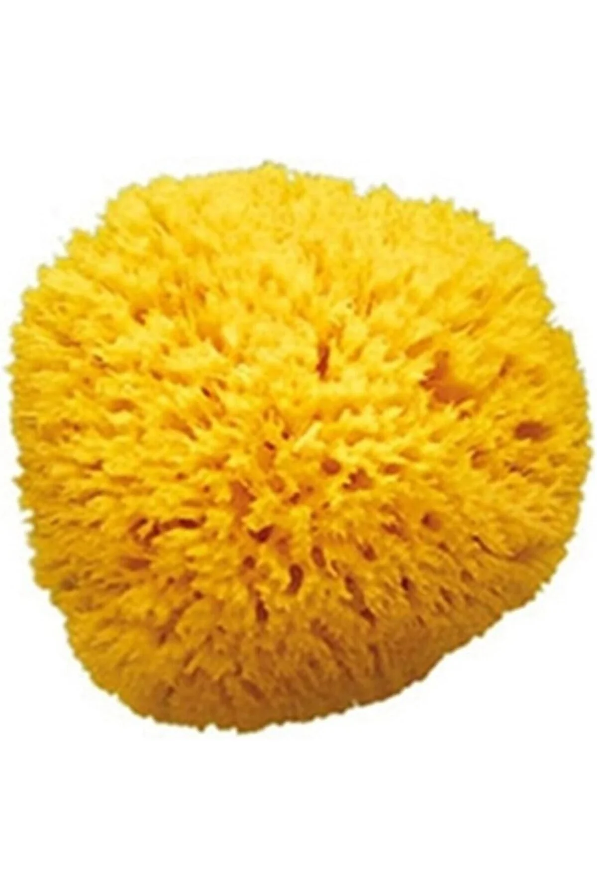 Dogal Banyo Sungeri No.12