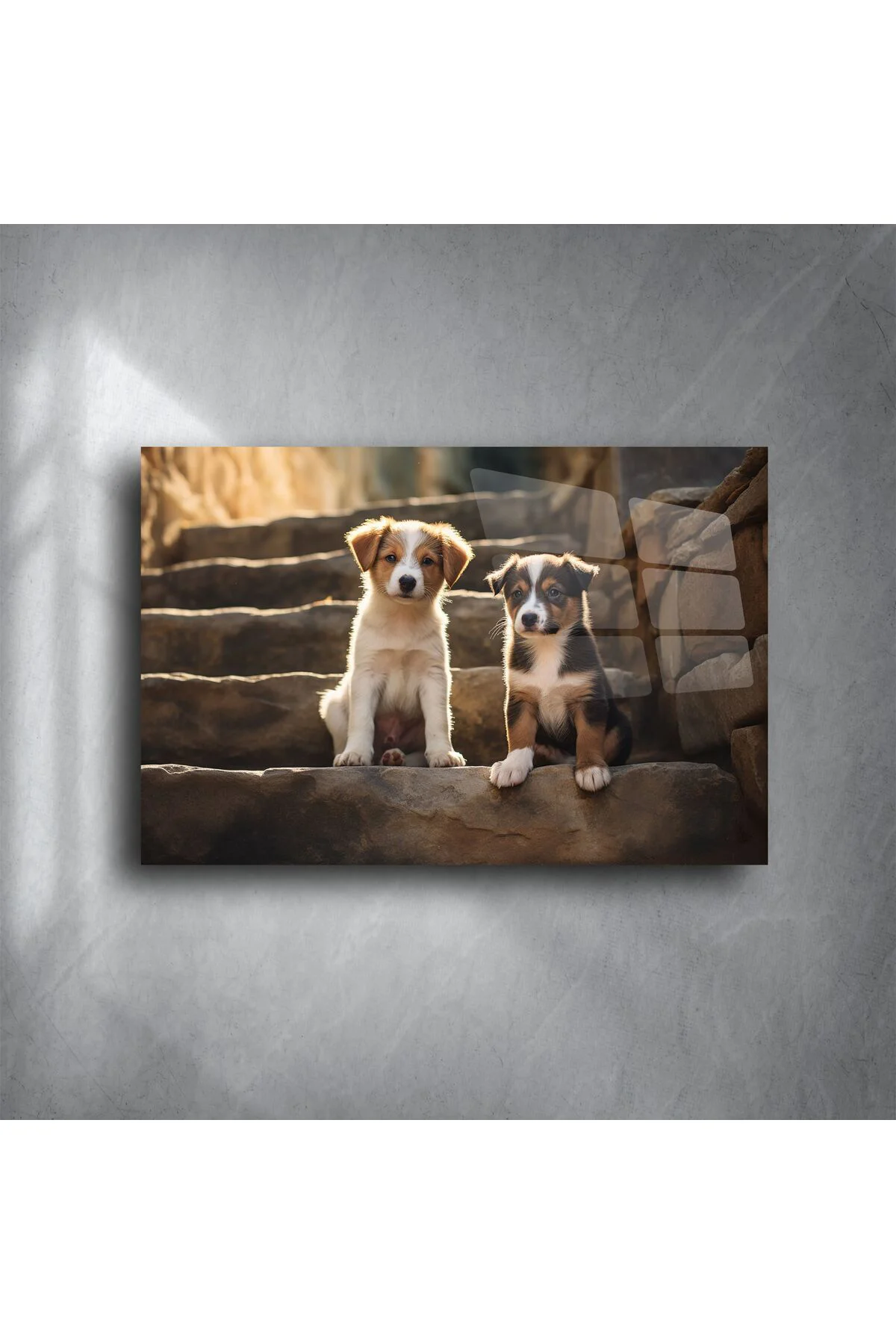 Doğal Işıklı Merdivende İki Yavru Köpek Metal Tablo Doğal Işıklı Merdivende İki Yavru Köpek Metal Tablo