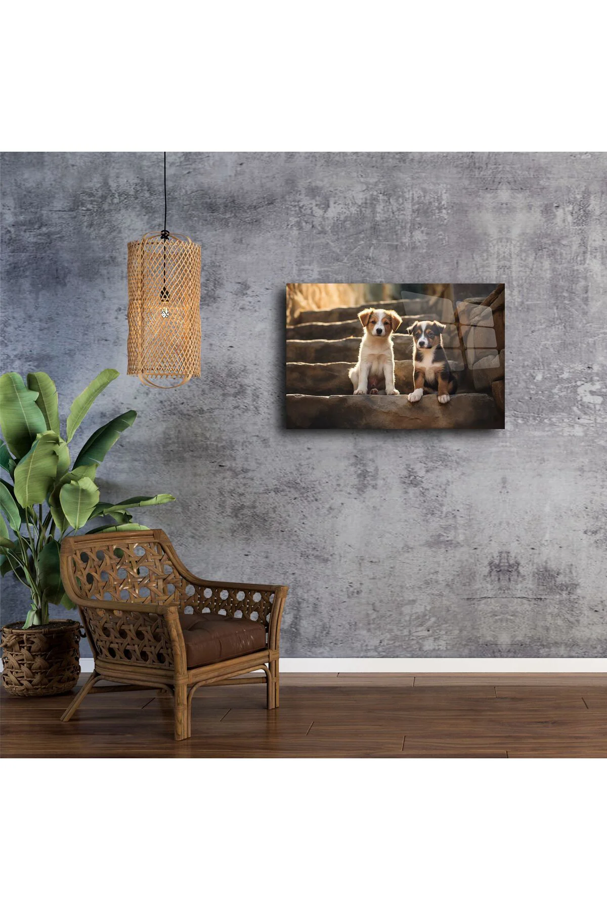 Doğal Işıklı Merdivende İki Yavru Köpek Metal Tablo Doğal Işıklı Merdivende İki Yavru Köpek Metal Tablo