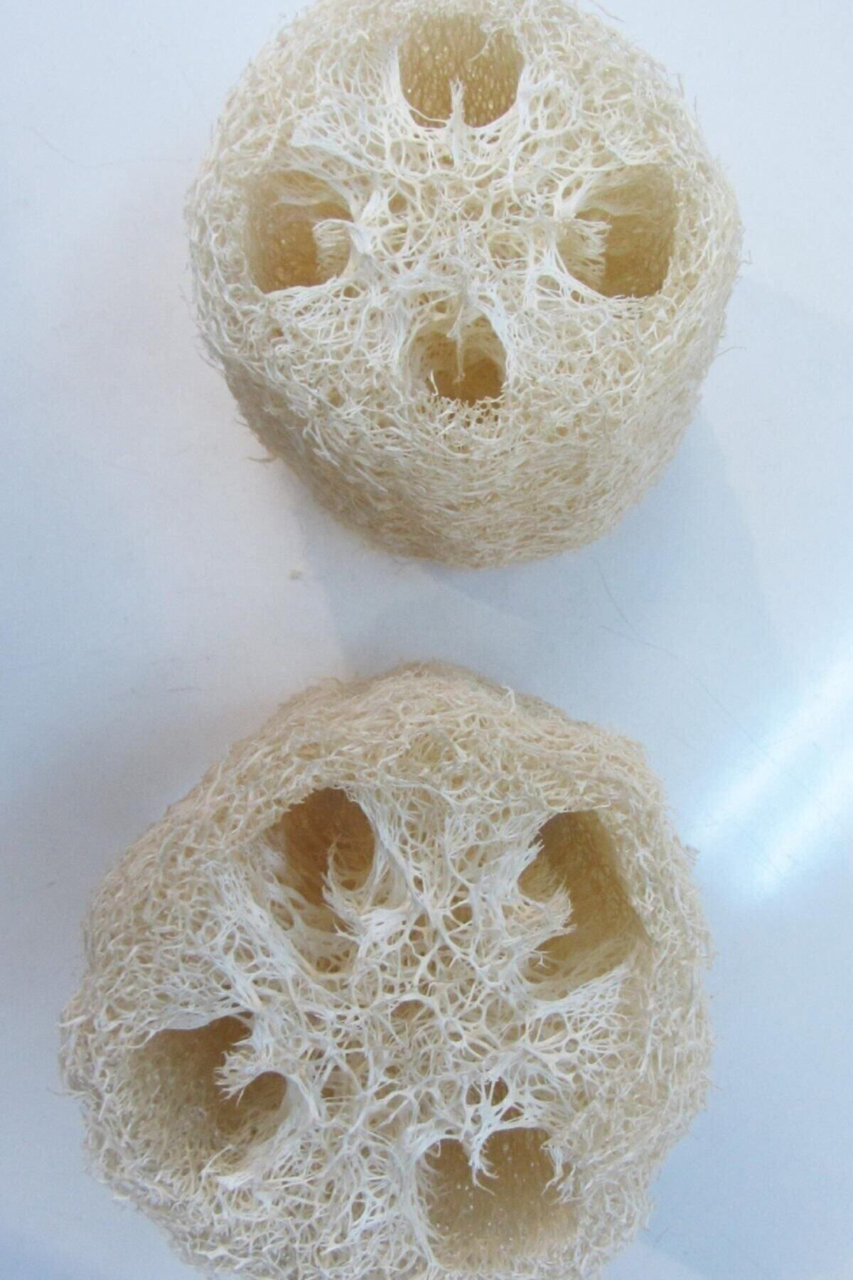 Peştemalcı Levent Doğal Kabak Lifi 2'Li Kse10g Kse10g - Dekoratif Hediyelik