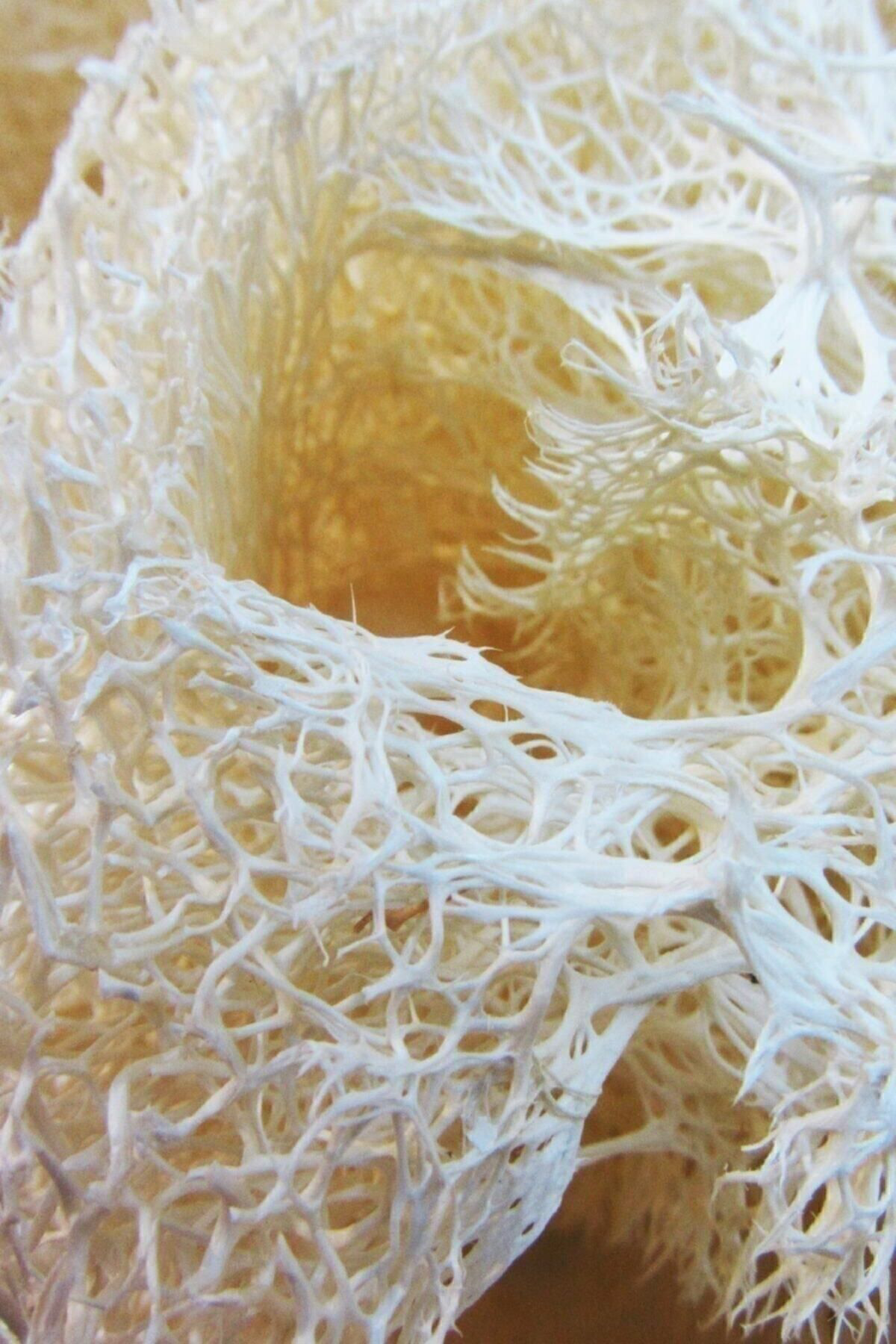 Peştemalcı Levent Doğal Kabak Lifi 2'Li Kse10g Kse10g - Dekoratif Hediyelik