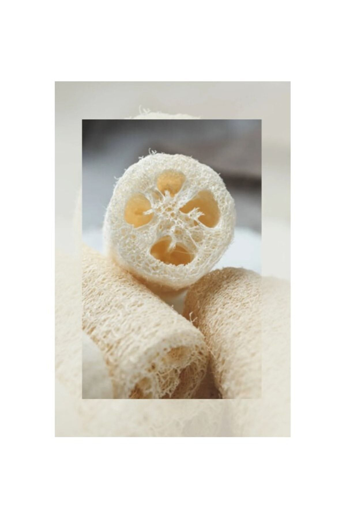 Trendmilano Doğal Kabak Lifi (Vücut Bulaşık Temizlik Çok Amaçlı) Dogallif