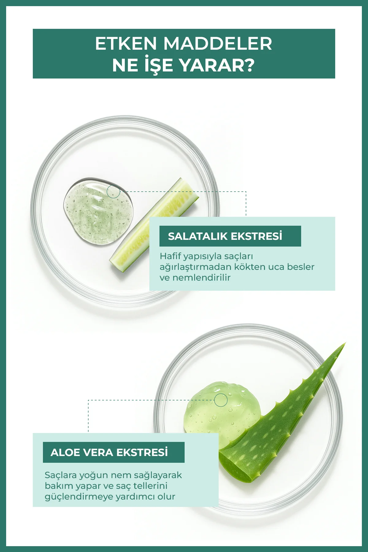 Doğal Saç Bakım Detoksu Besleyici Aloe Vera Ve Salatalık Tonik 200 ml Fiyatı, Yorumları ve Özellikleri