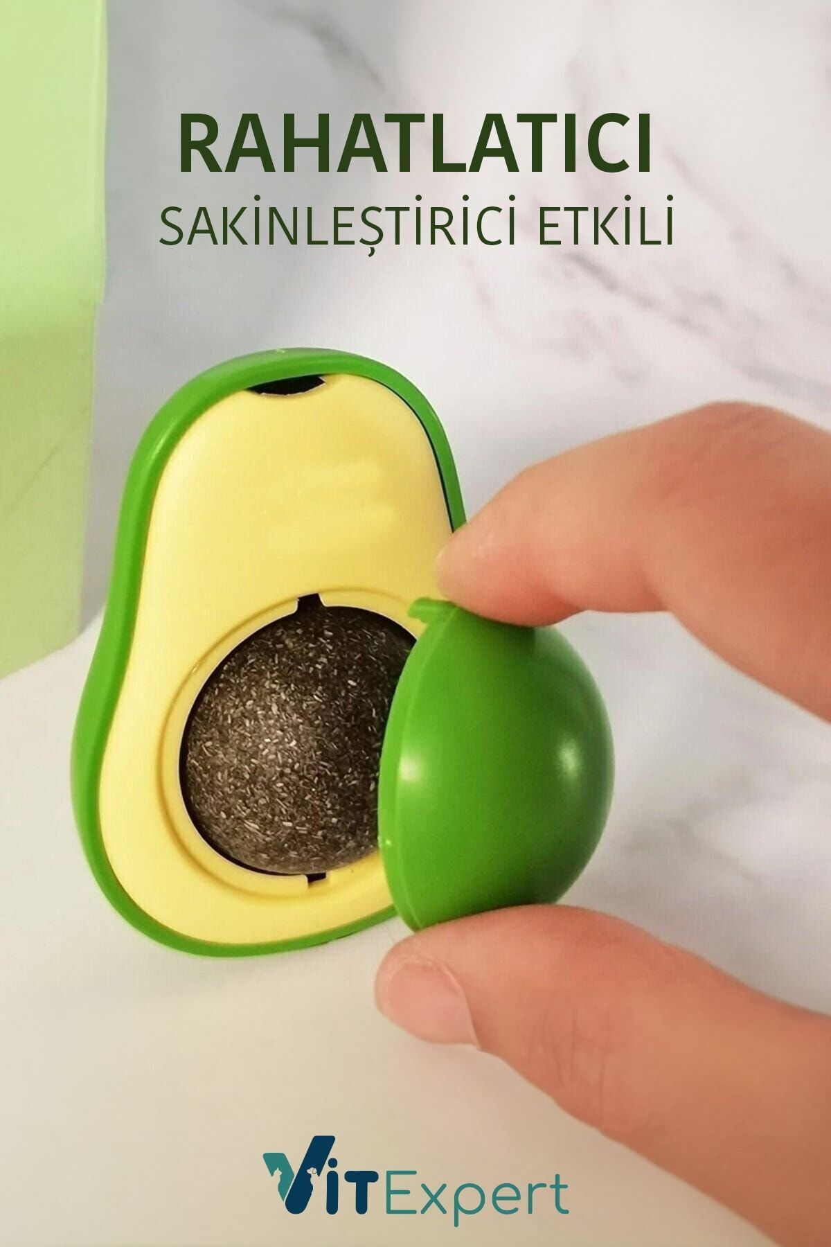 Doğal & Yenilebilir Kedi Nanesi Otu Avokado Kedi Çimi Özel Yapışk