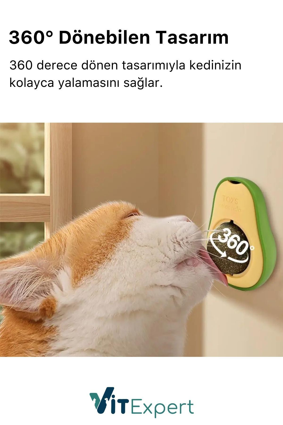 Doğal & Yenilebilir Kedi Nanesi Otu Avokado Kedi Çimi Özel Yapışk