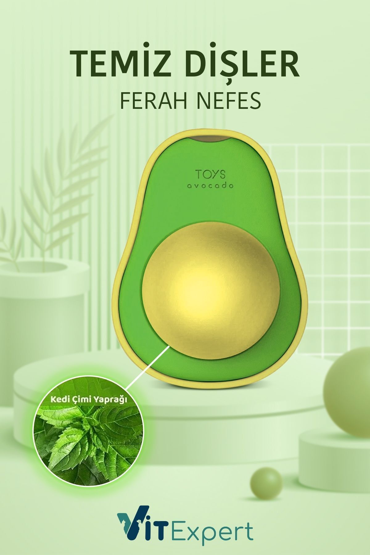 Doğal & Yenilebilir Kedi Nanesi Otu Avokado Kedi Çimi Özel Yapışk