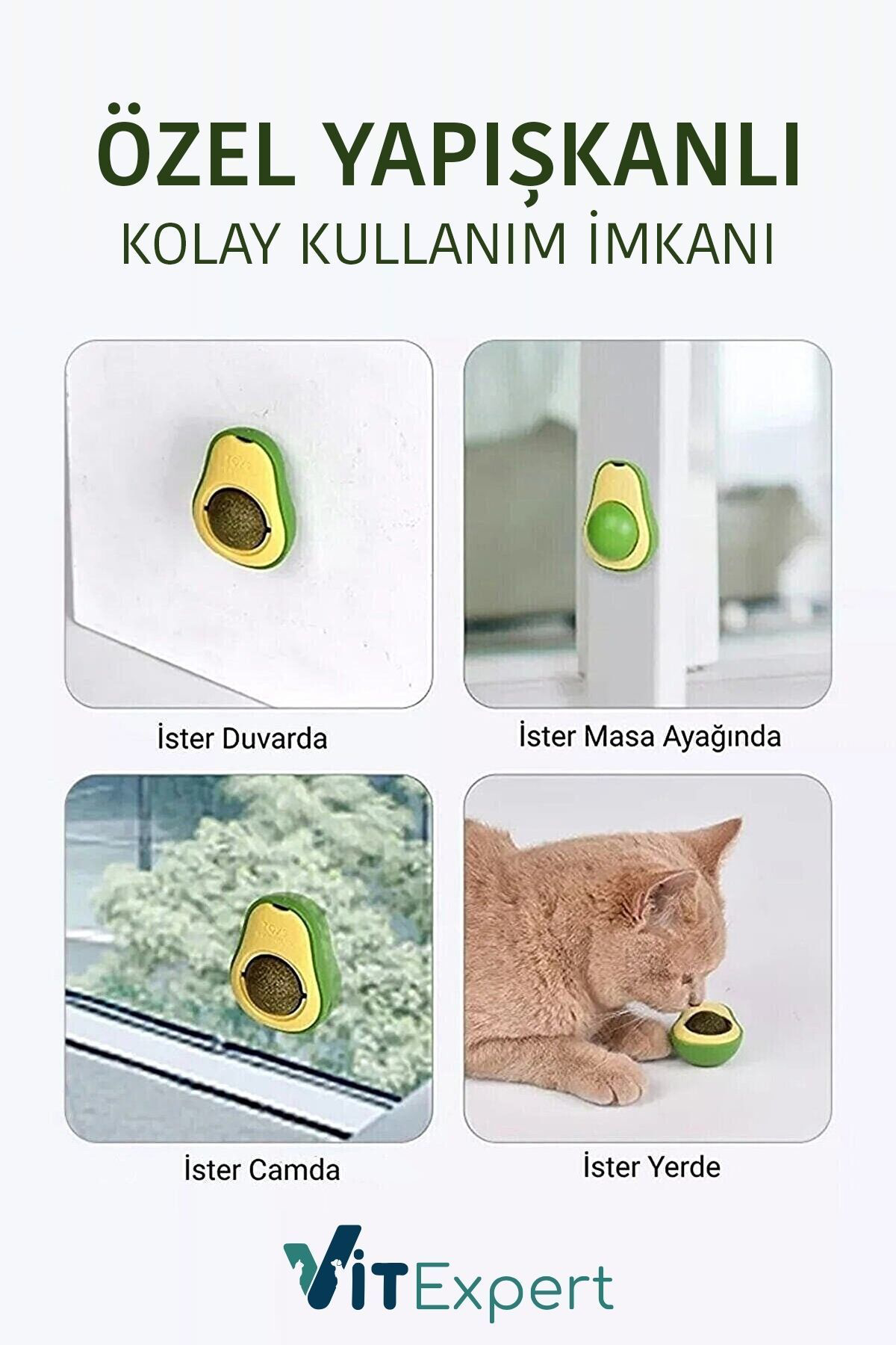 Doğal & Yenilebilir Kedi Nanesi Otu Avokado Kedi Çimi Özel Yapışk