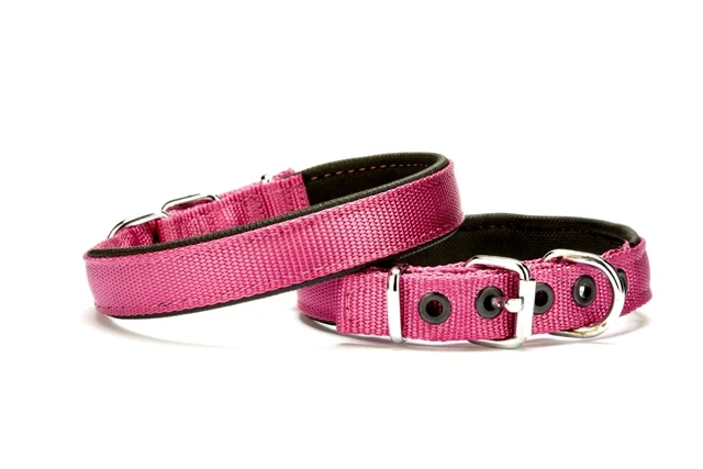 Doggie Dokuma Softlu Köpek Boyun Tasması 2 cm x 45 cm Mor Fiyatı, Yorumları ve Özellikleri
