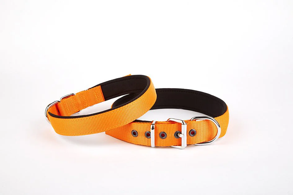 Doggie Softlu Köpek Boyun Tasması 3 cm x 55 cm Turuncu