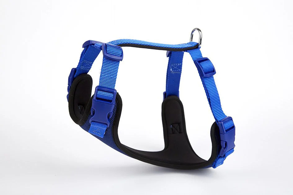 Doggie Yumuşak Softlu Köpek Göğüs Tasması 40/45 cm Mavi