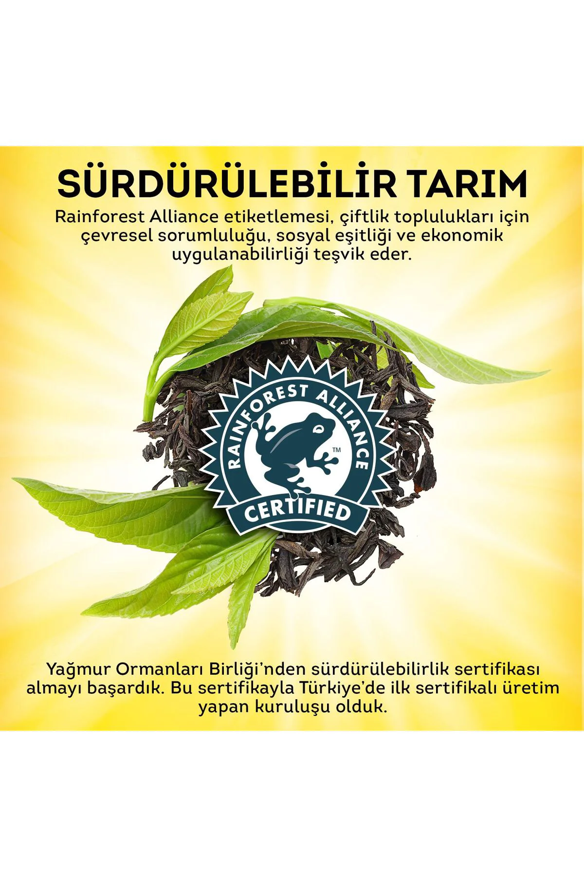 Doğu Karadeniz Dökme Çay 500 Gr