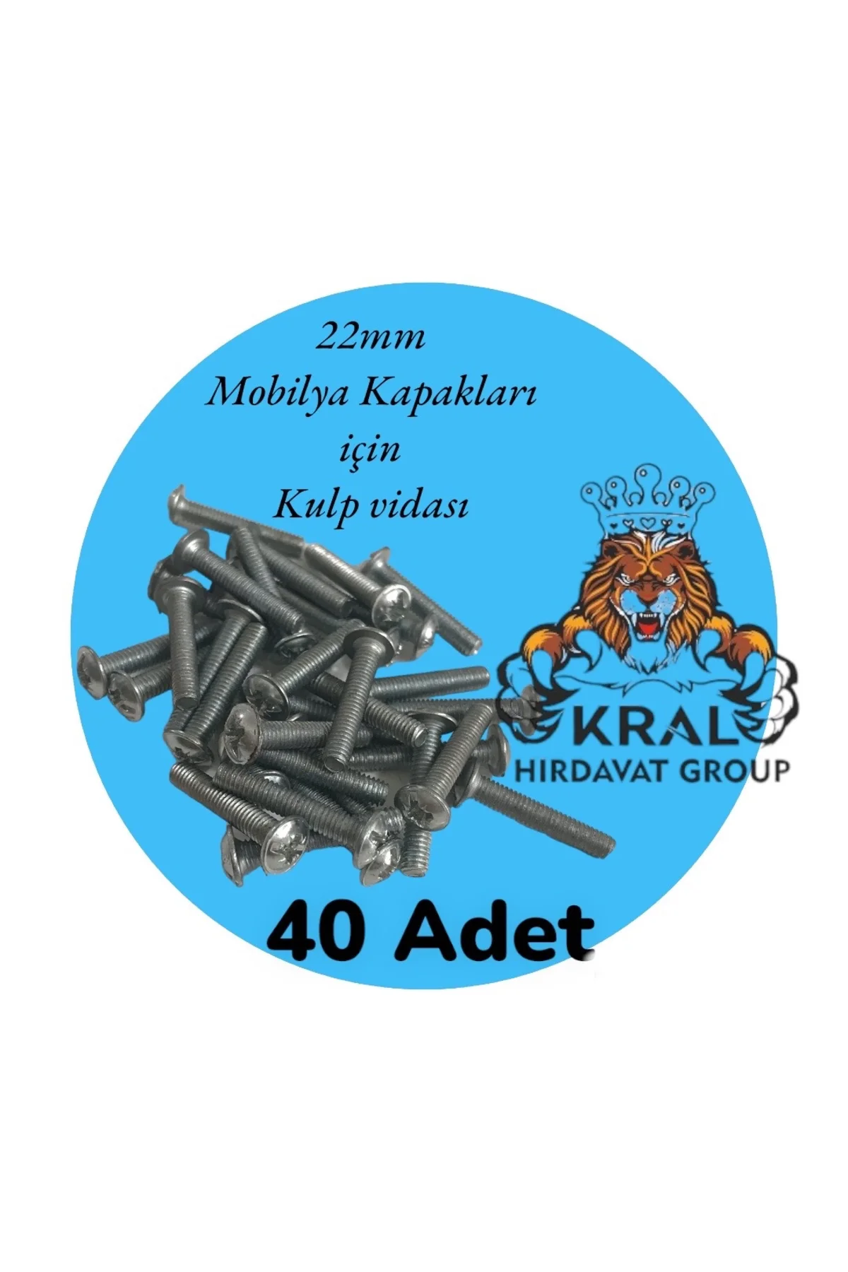 Dolap ve Mobilyalar İçin Kulp Vidası 22mm