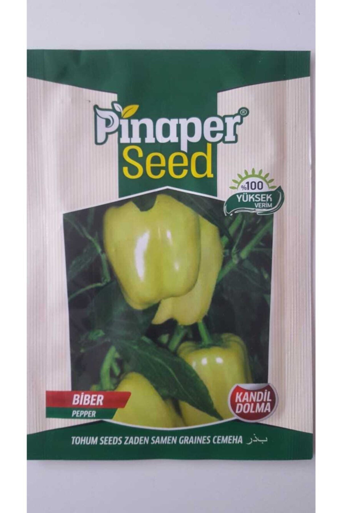 Pinaper Seed Dolma Biber (Kandil ) Tohumu 1 Paket %100 Yüksek Verimlidir