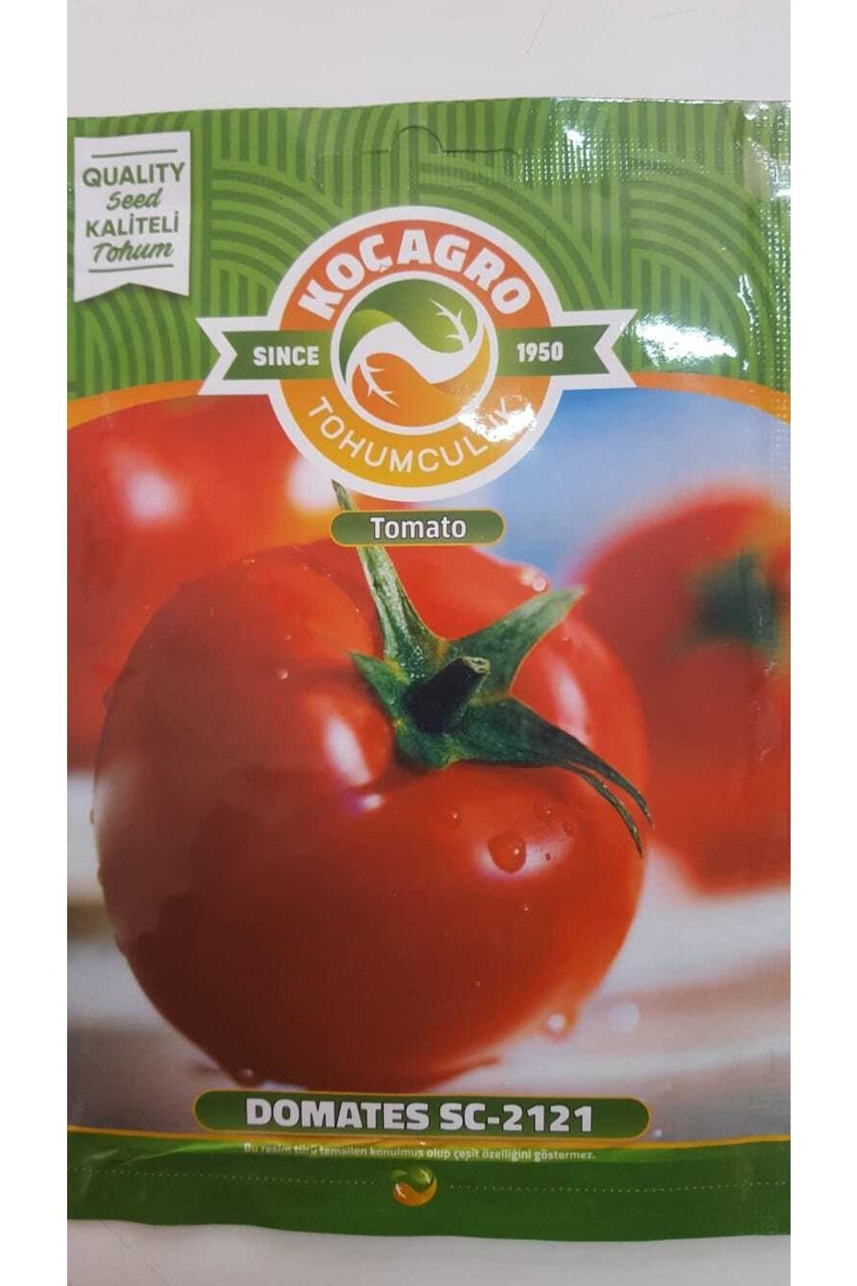 Koçağro Domates Tohumu 1 Paket %100 Yüksek Verimlidir.