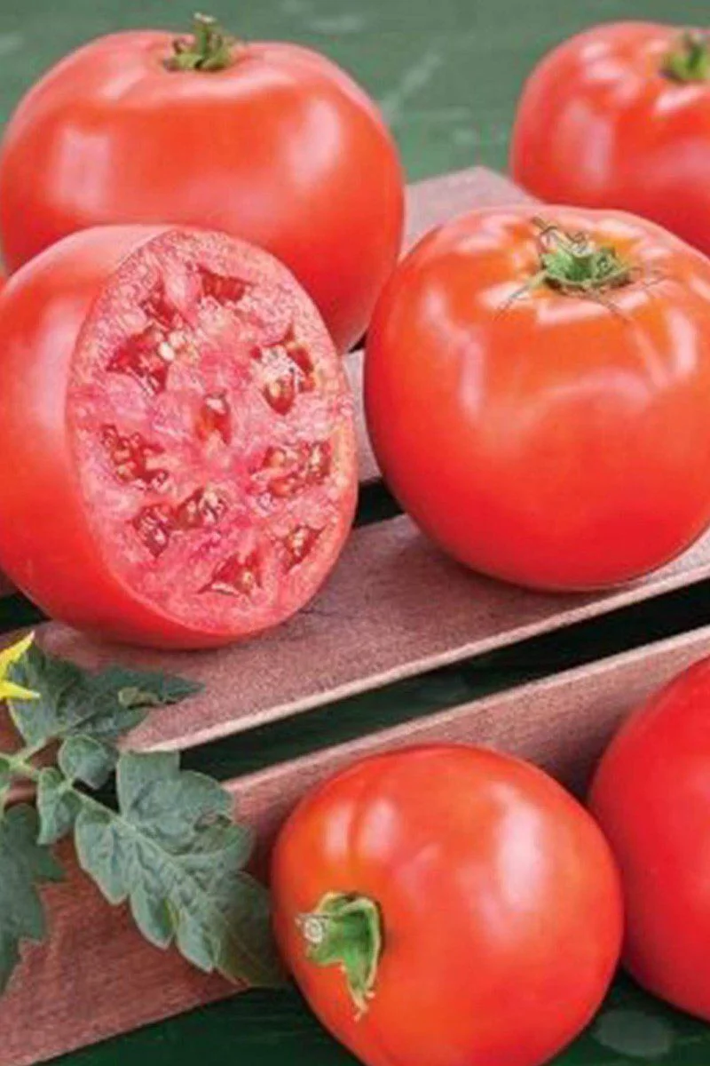 Domates Tohumu H.2274 – 5 Gr Sofralık ve Sanayi Tipi Tohum Fiyatı, Yorumları ve Özellikleri