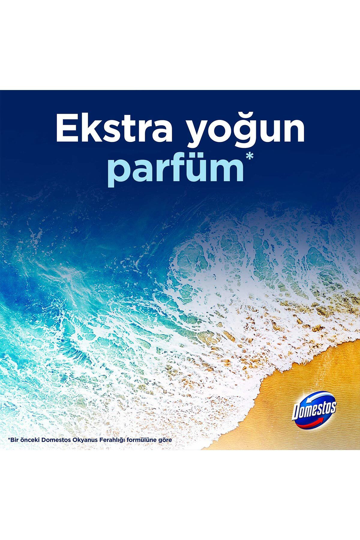 Domestos Tuvalet Bloğu 100 G Çam Ormanı 100 X1 Manolya Buketi 100