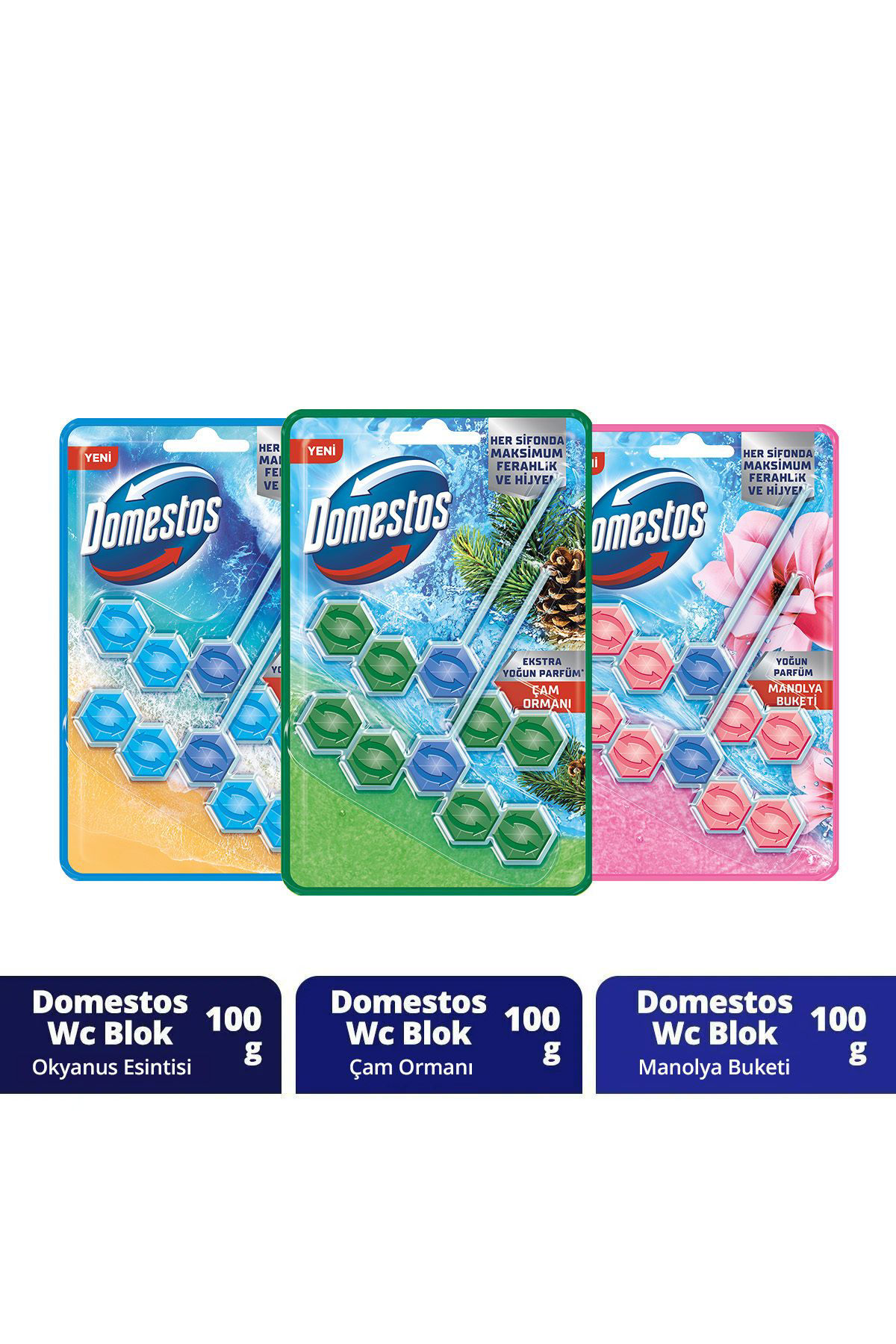 Domestos Tuvalet Bloğu 100 G Çam Ormanı 100 X1 Manolya Buketi 100