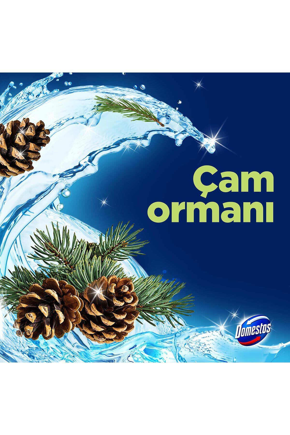 Domestos Tuvalet Bloğu 100 G Çam Ormanı 100 X1 Manolya Buketi 100