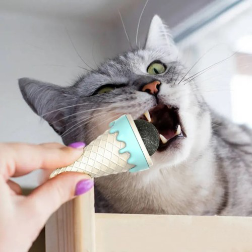 DONDURMA ŞEKLİNDE KEDİ NANESİ KEDİ OTU DONDURMA ŞEKLİNDE KEDİ NANESİ KEDİ OTU