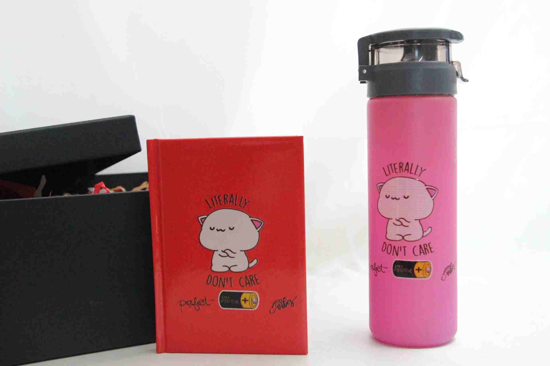 Don't Care Temalı Hediye Seti - Termos ve Defter Hediye Kutusu