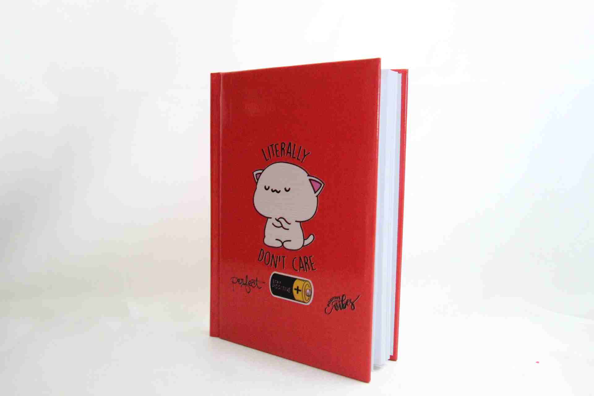 Don't Care Temalı Hediye Seti - Termos ve Defter Hediye Kutusu