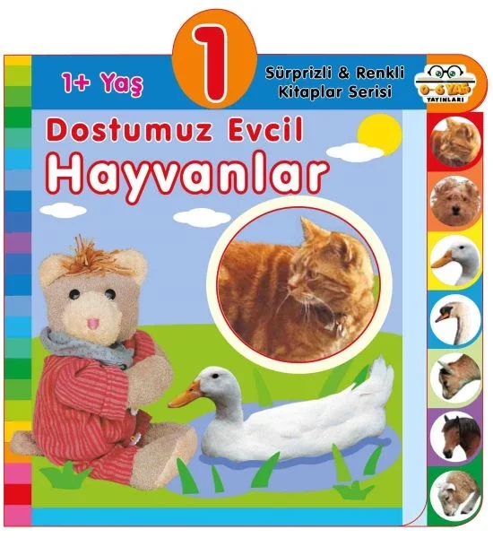 Dostumuz Evcil Hayvanlar (1+Yaş) Fiyatı, Yorumları ve Özellikleri