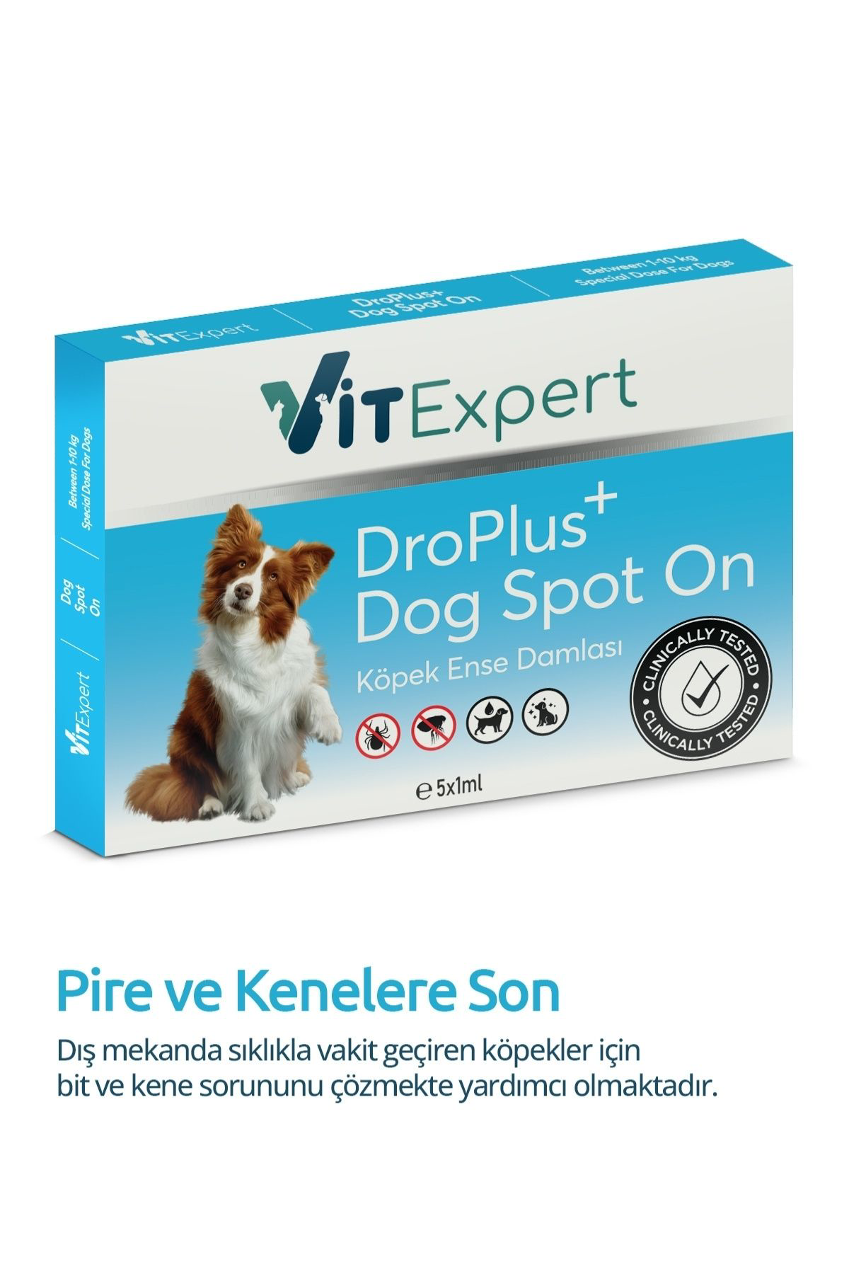 Droplus Köpek Damlası Dış Parazit Pire Kene Bit Ve Deri Bakımı Iç Droplus Köpek Damlası Dış Parazit Pire Kene Bit Ve Deri Bakımı Iç