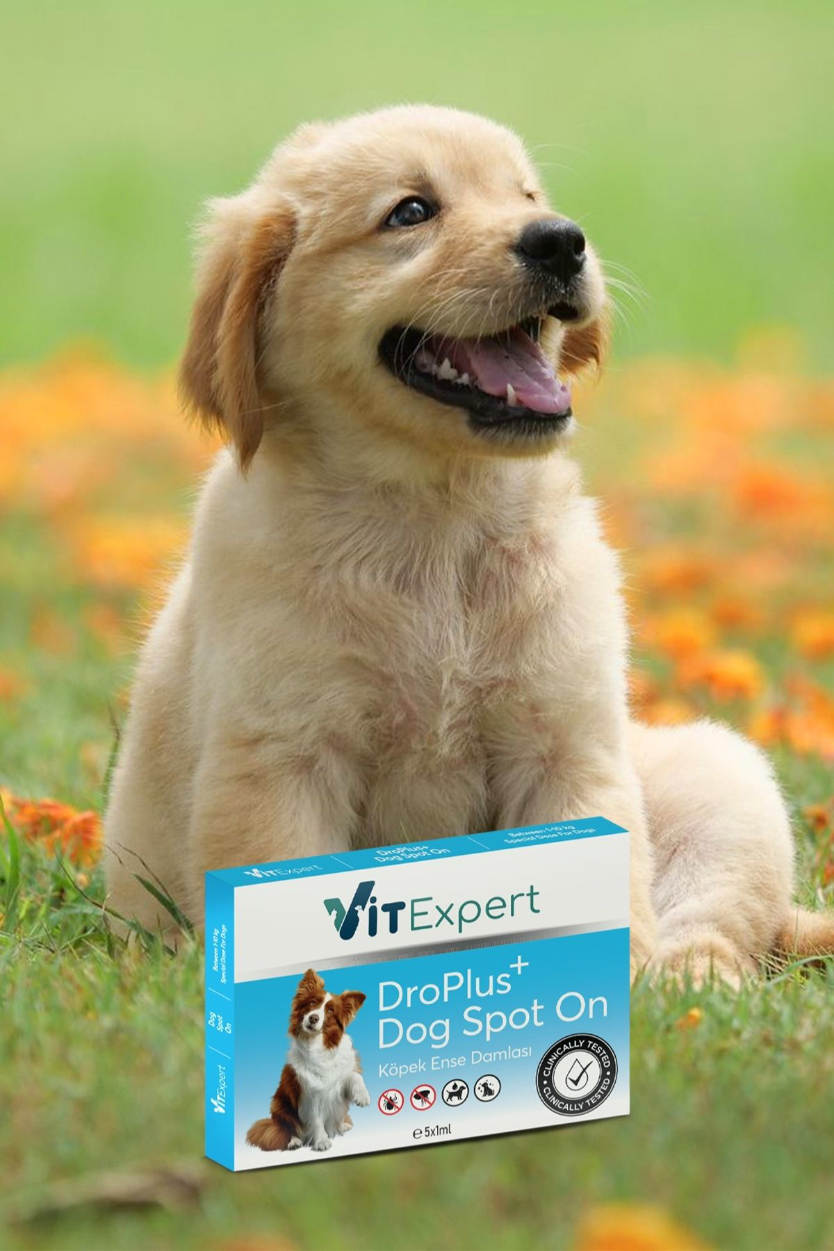 Droplus Köpek Damlası Dış Parazit Pire Kene Bit Ve Deri Bakımı Iç Droplus Köpek Damlası Dış Parazit Pire Kene Bit Ve Deri Bakımı Iç