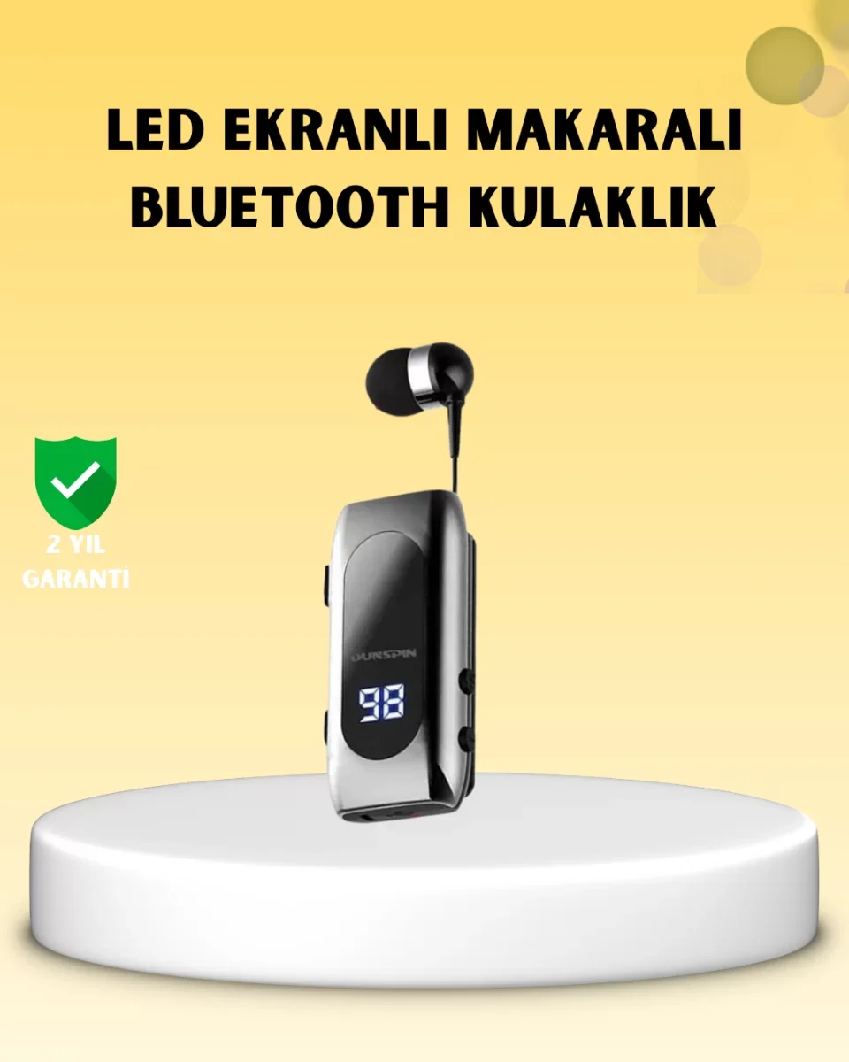 DS-F210 Kablosuz Kulaklık – 25 Saat Kullanım &amp; Hızlı Şarj - L