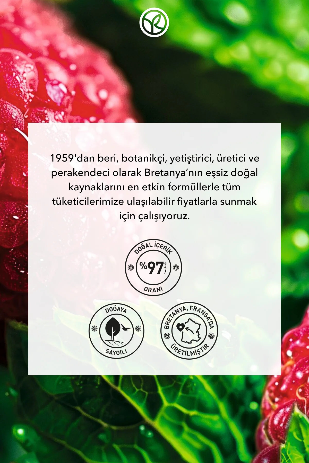 Dudak Balsamı-Nemlendirici Besleyici Frambuaz- Renkli-4.8gr