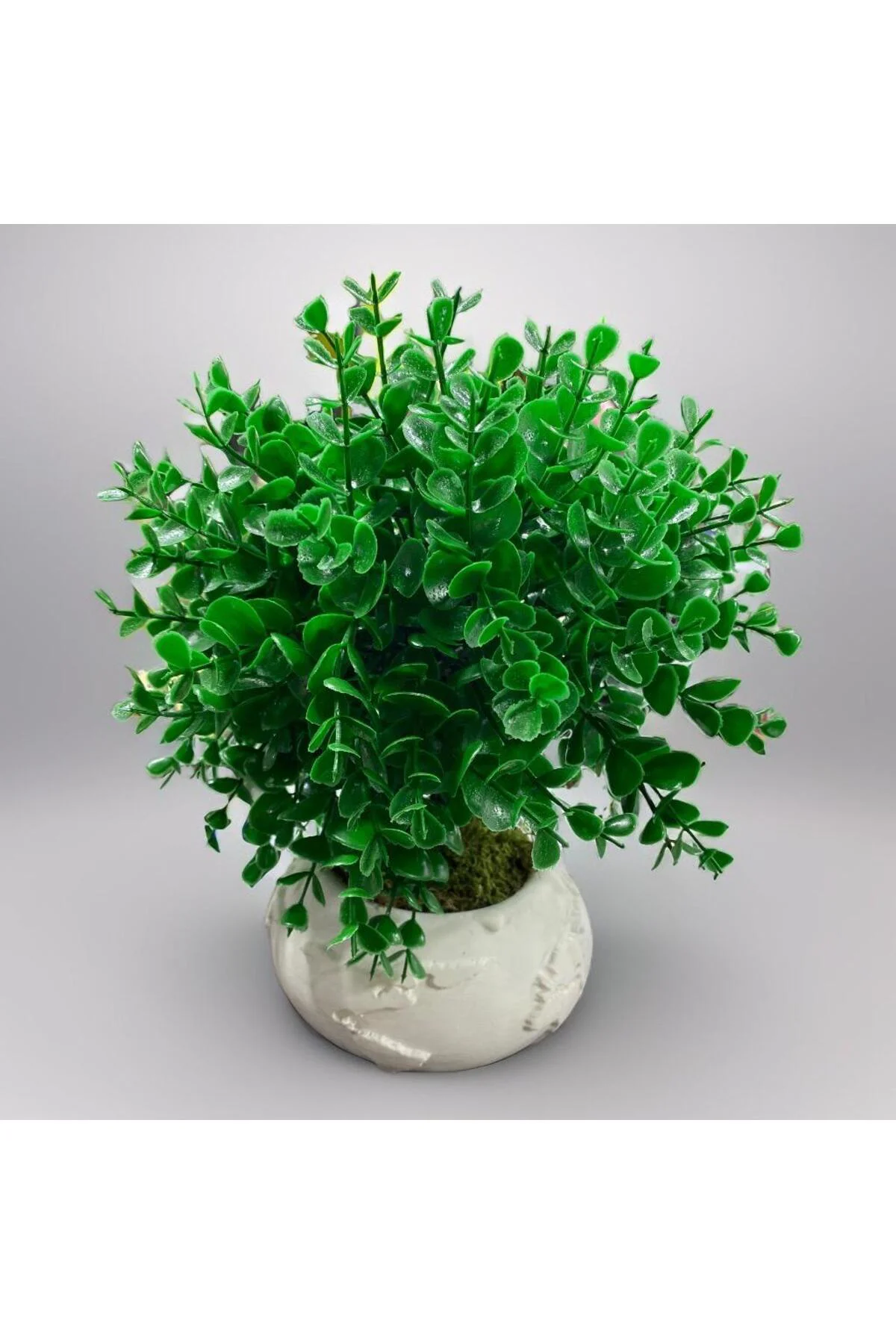 Dünya Saksıda Yeşil Yapay Okaliptüs 25x28 cm Dünya Saksıda Yeşil Yapay Okaliptüs 25x28 cm - Görsel 2