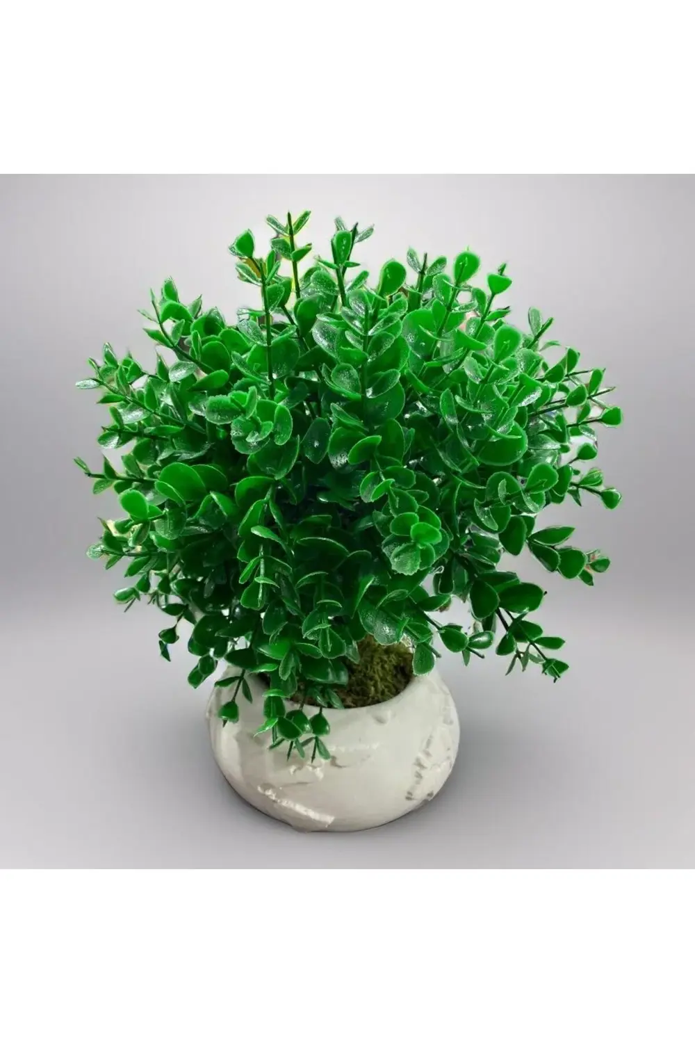 Dünya Saksıda Yeşil Yapay  Okaliptüs 25x28 cm