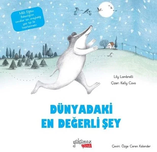 Dünyadaki En Değerli Şey Fiyatı, Yorumları ve Özellikleri