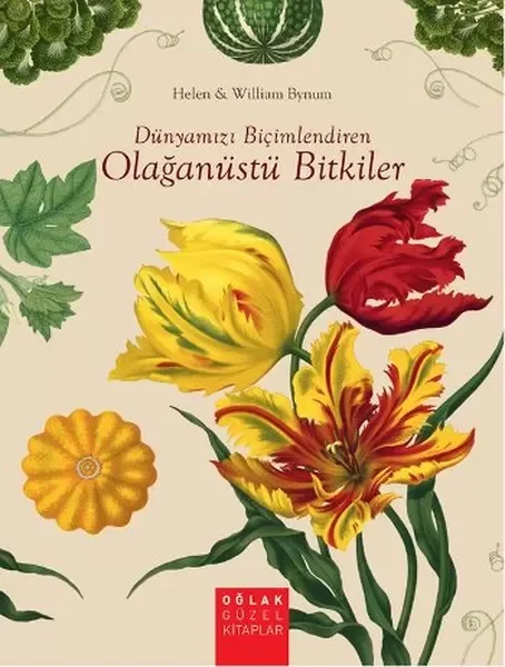Dünyamın Dibi