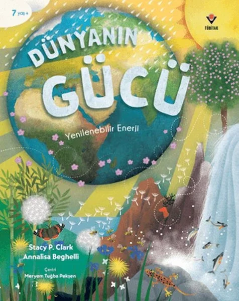 Dünyanın Gücü Fiyatı, Yorumları ve Özellikleri