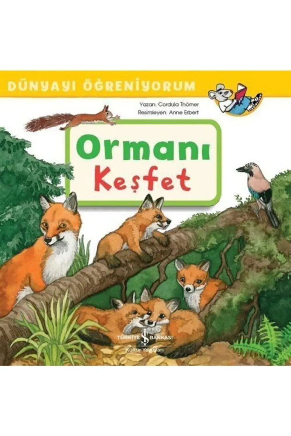 Dünyayı Öğreniyorum Ormanı Keşfet