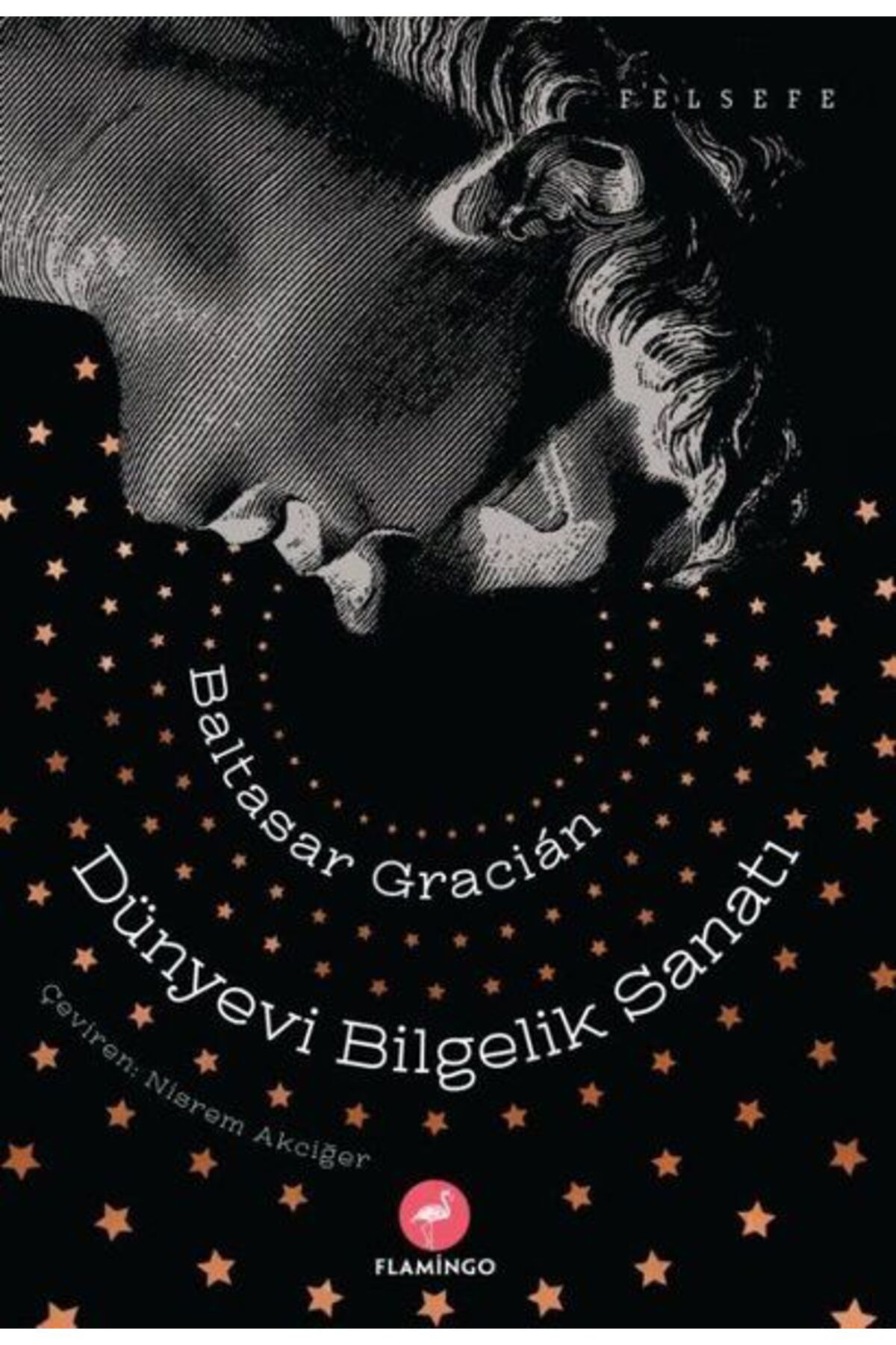 Flamingo Yayınları Dünyevi Bilgelik Sanatı