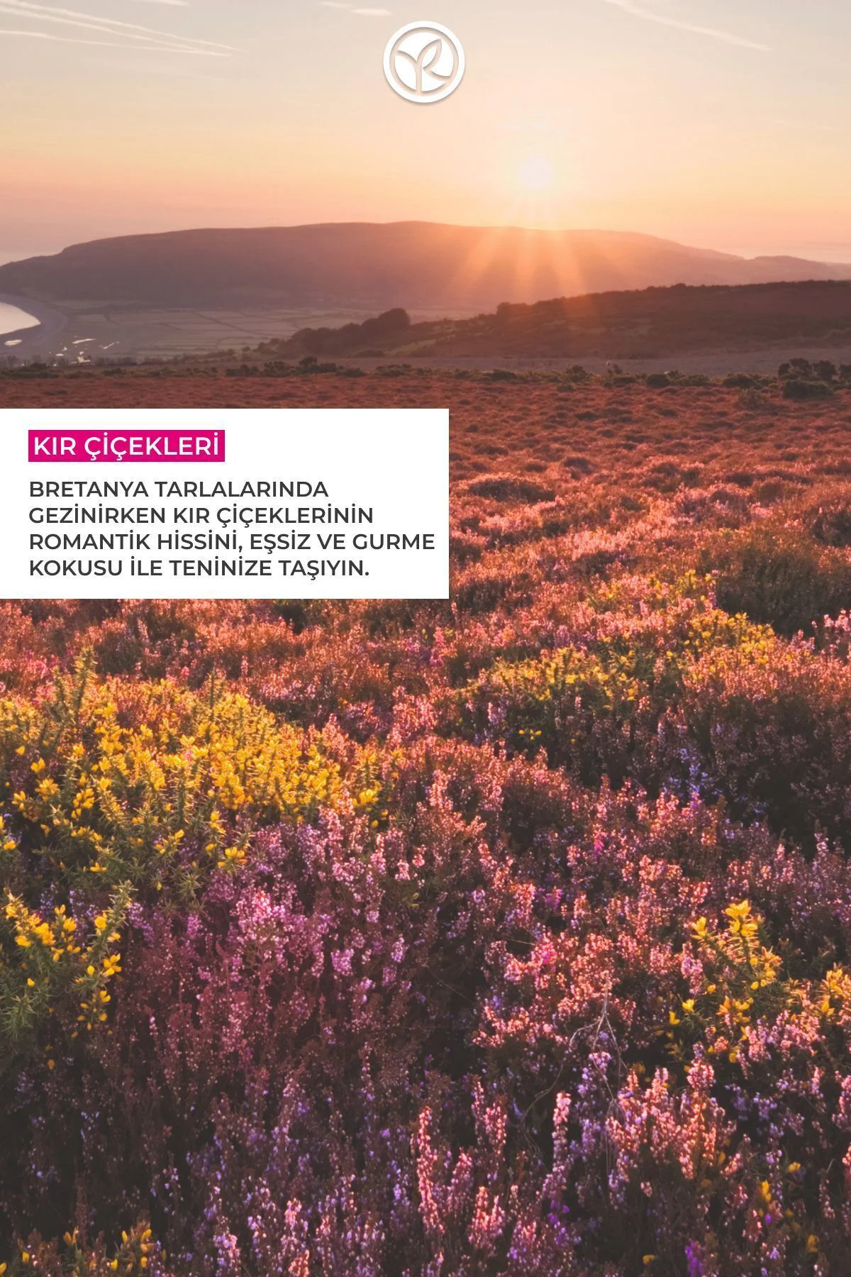 Duş Jeli - Nemlendirici Romantik Kır Çiçekleri-SLS,SLES İçermez,V