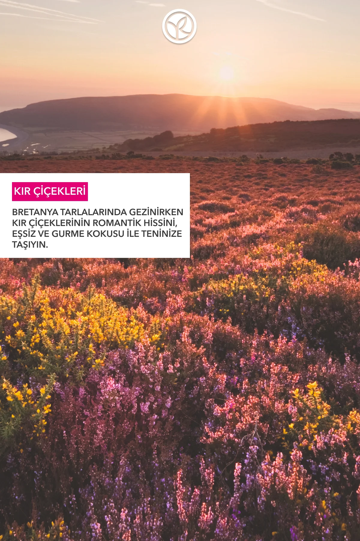 Duş Jeli - Nemlendirici Romantik Kır Çiçekleri -SLS,SLES İçermez,