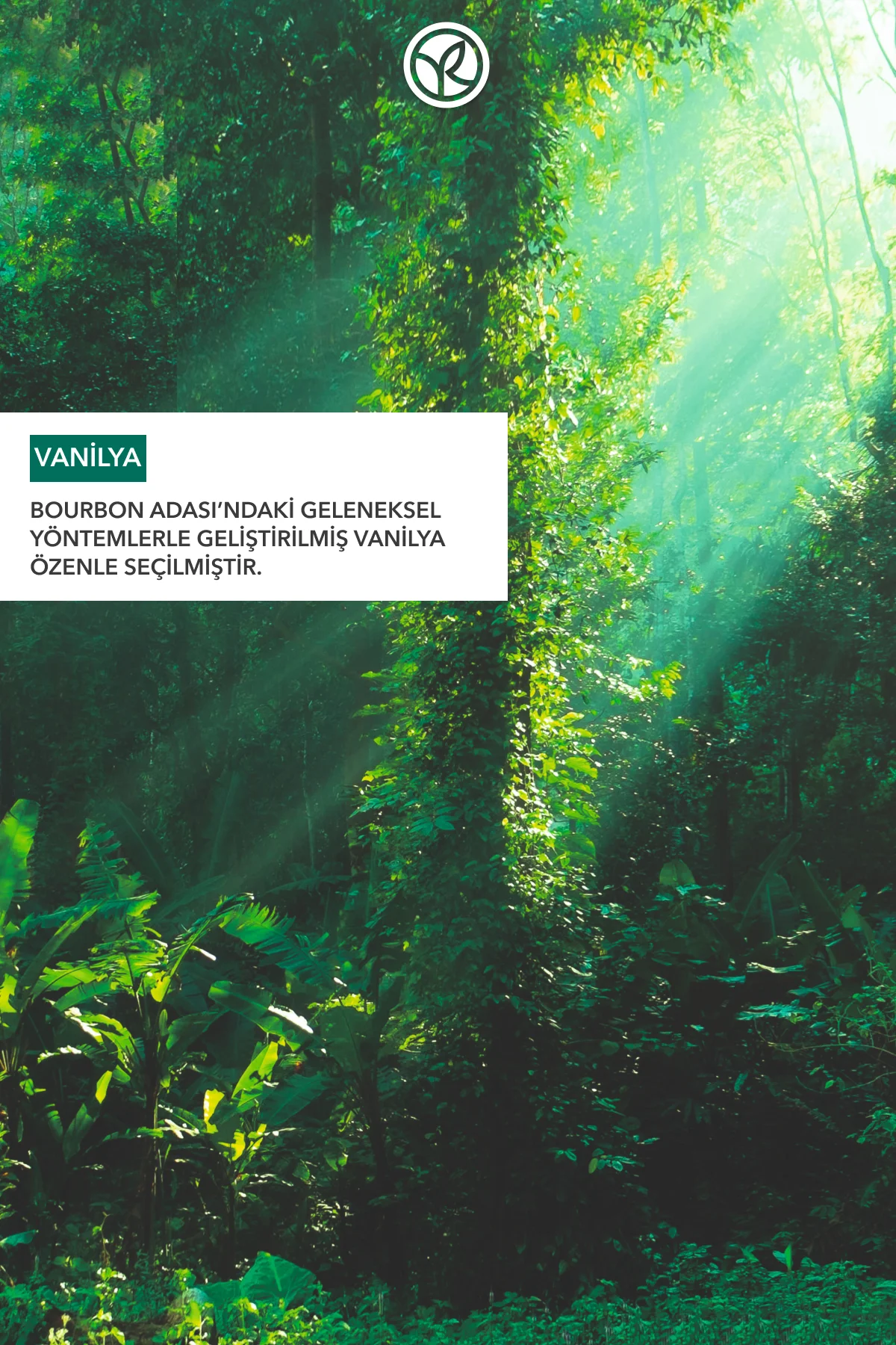 Duş Jeli - Nemlendirici Egzotik Vanilya -SLS,SLES İçermez,Vegan-4