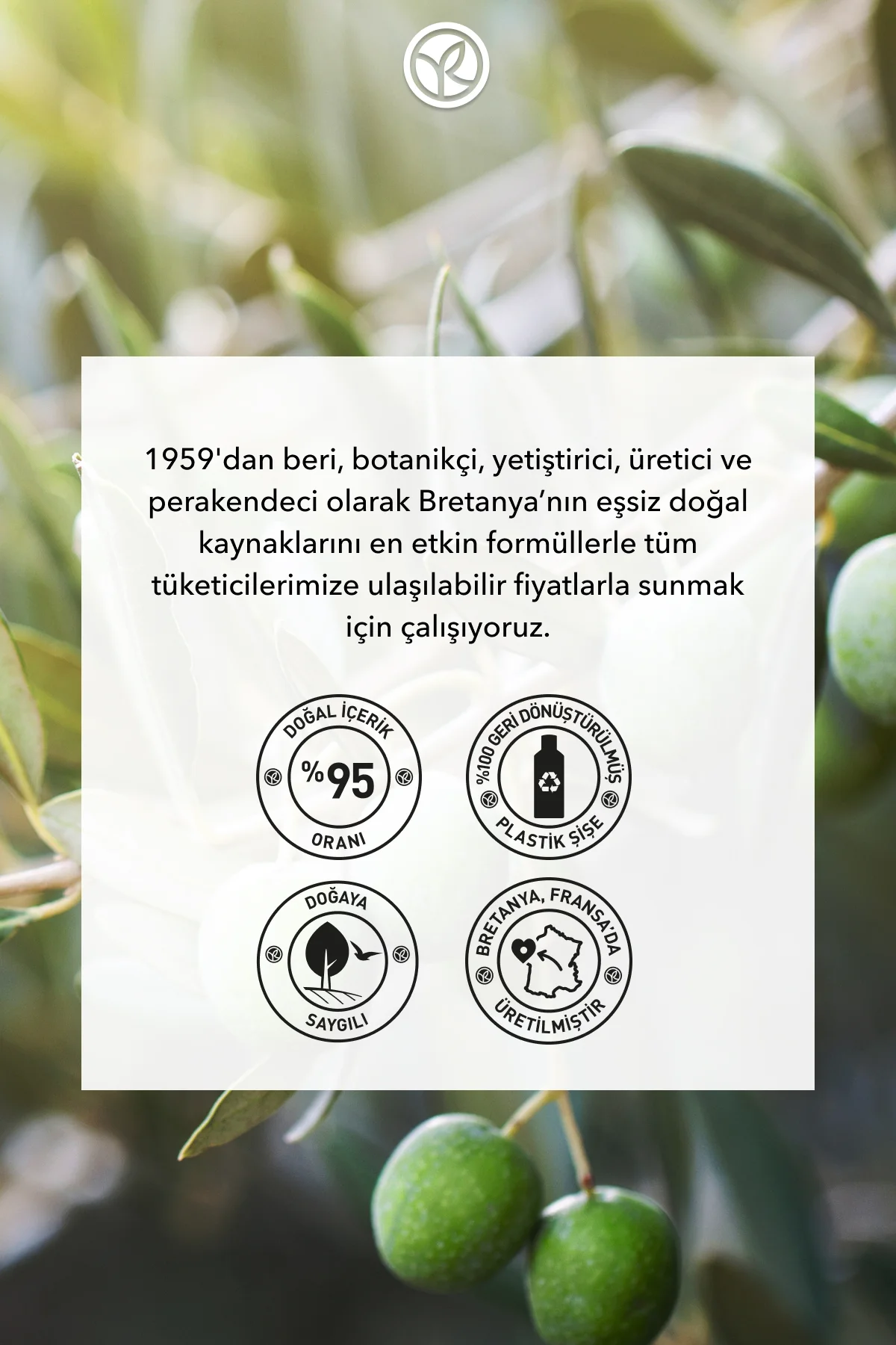 Duş Jeli - Nemlendirici Ferahlatıcı Zeytin Turunç -SLS,SLES İçerm