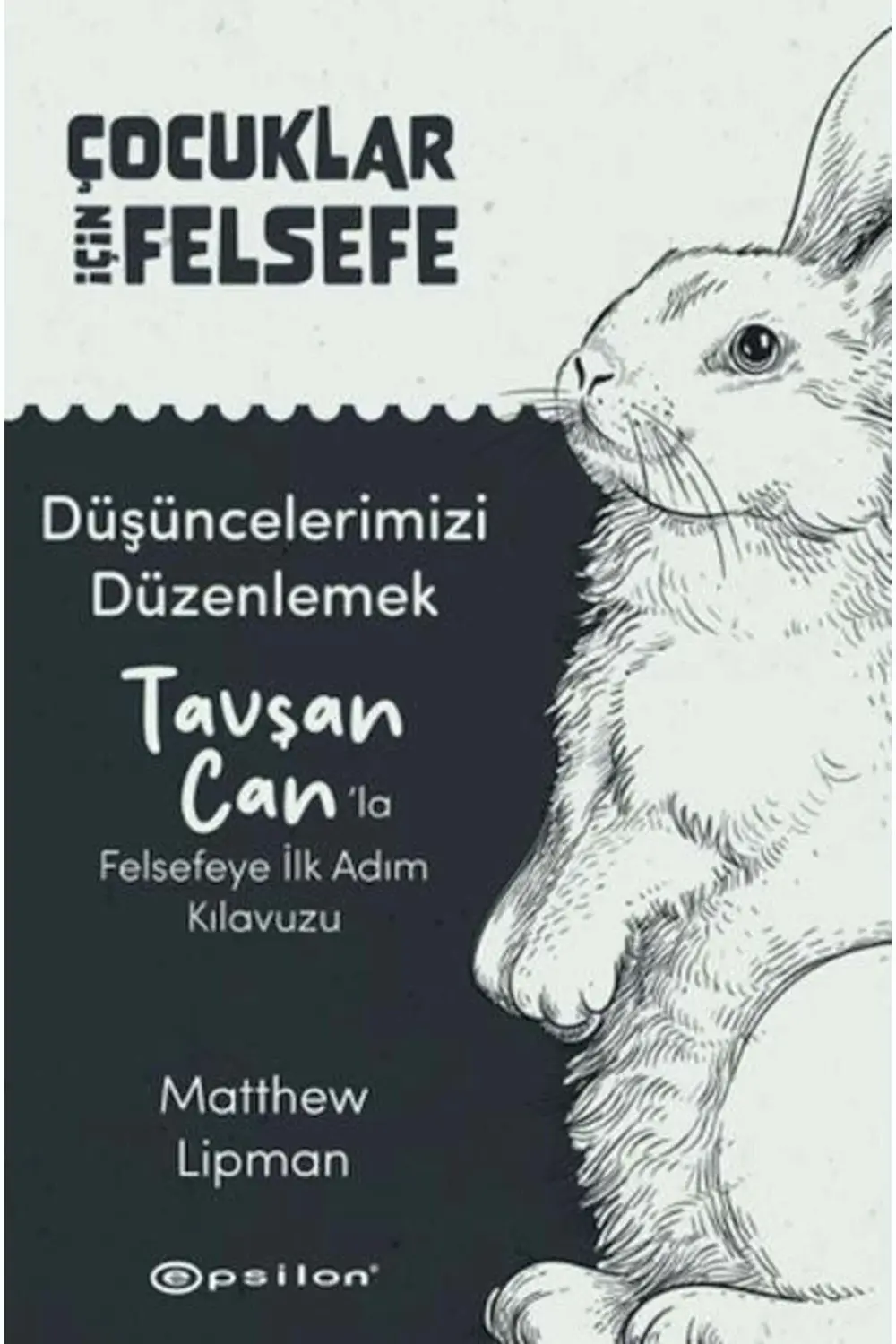 Düşüncelerimizi Düzenlemek Tavşan Can'la Felsefeye Ilk Adım