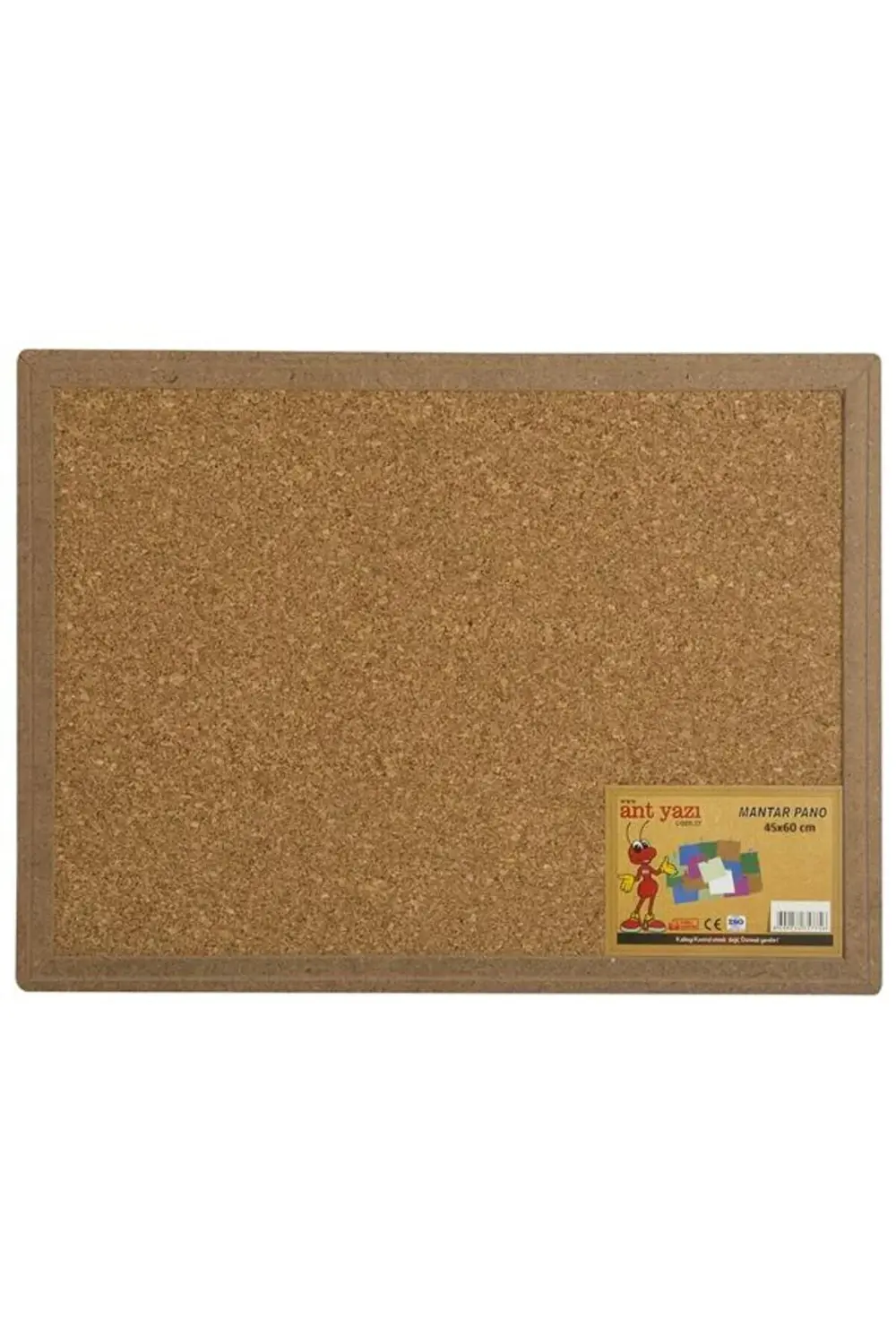 Duvara Monte Mantar Pano Ahşap Çerçeve 45x60