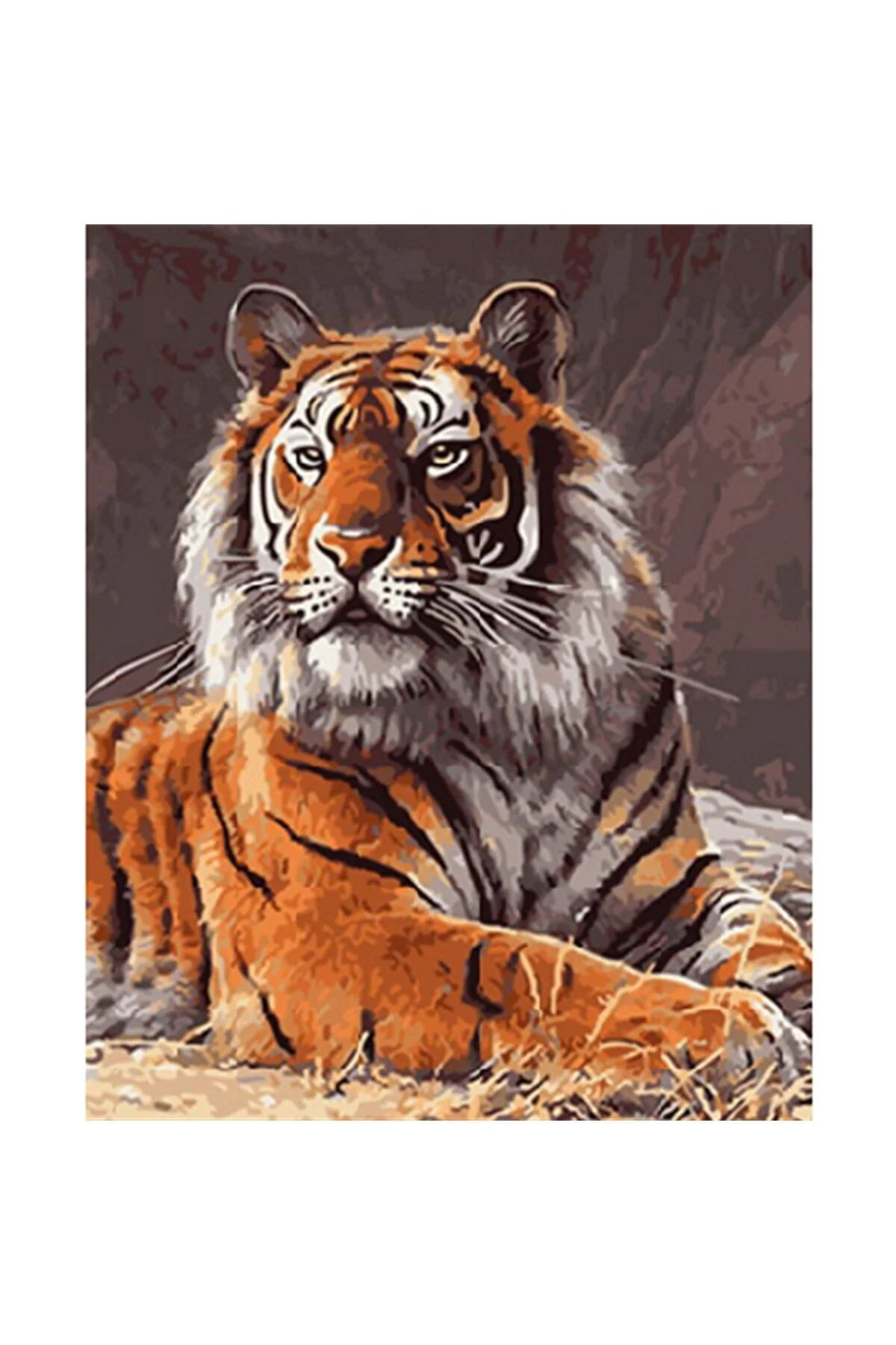 Duvarda Sayılarla Boyama Seti Güçlü Kaplan 60x75 Cm Rulo