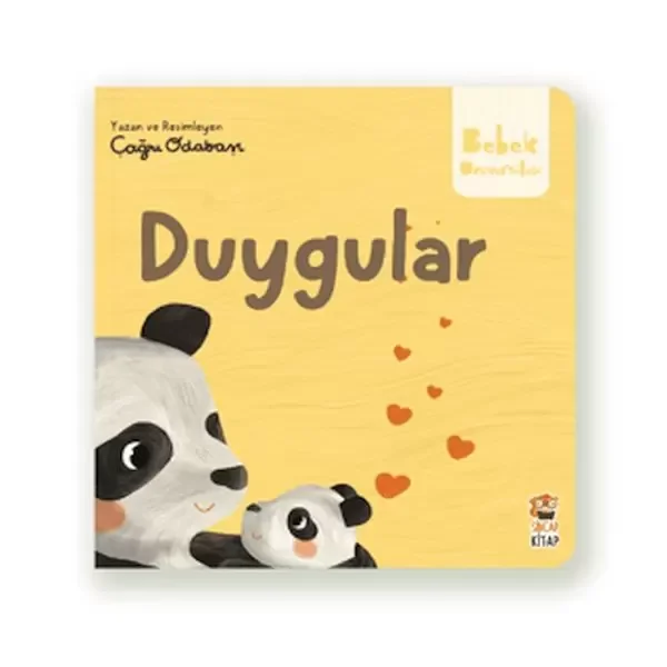 Duygular Fiyatı, Yorumları ve Özellikleri