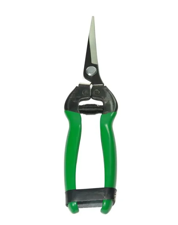 Düz Bıçak Narenciye Makası 184mm - SK-5 Çelik Profesyonel Meyve Soyma Makası Fiyatı, Yorumları ve Özellikleri
