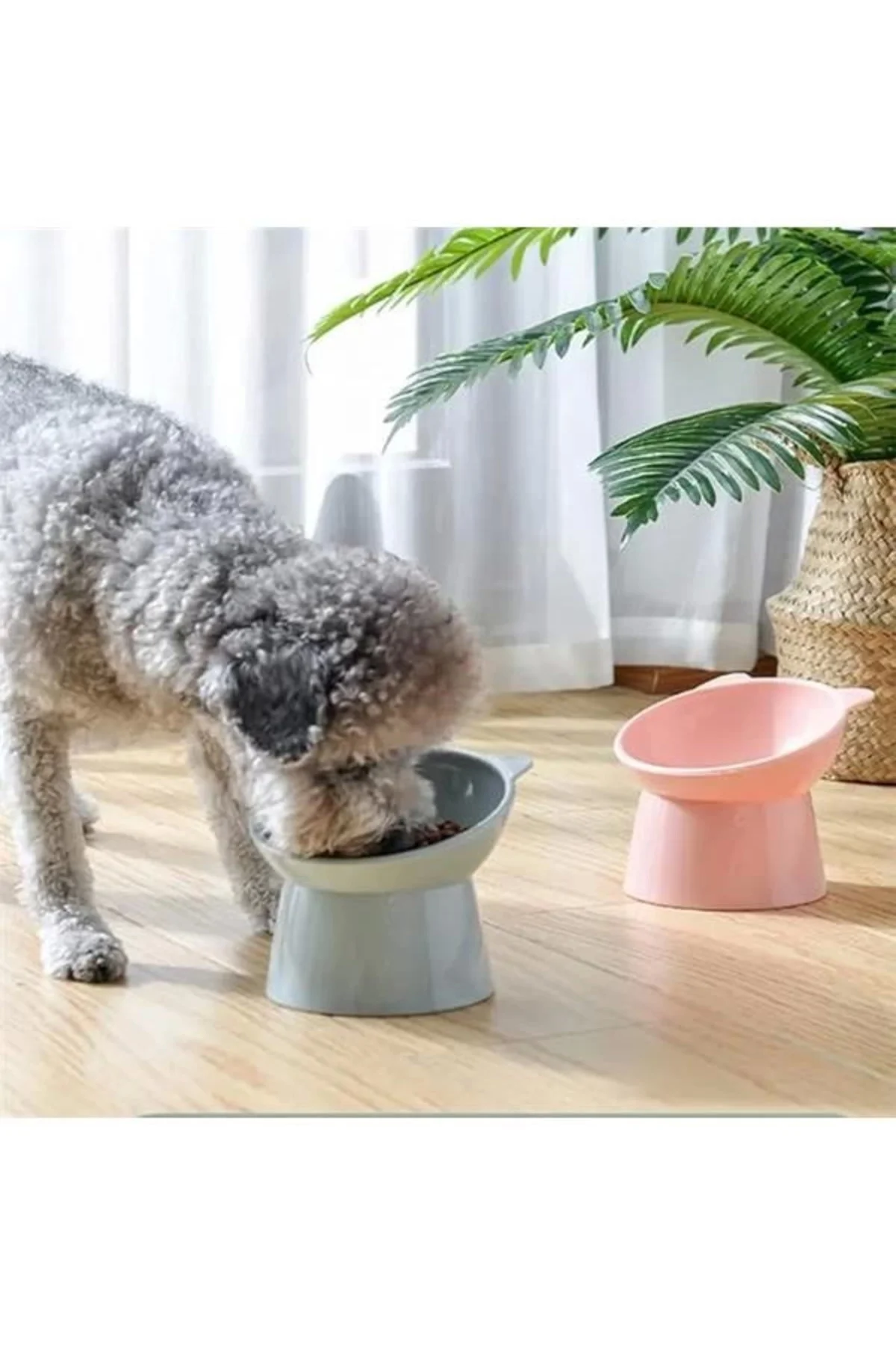 e-ticaret Kedi Köpek Mama Su Kabı, Mama Ve Su Bowl Kabı,Plastik. (MİX)