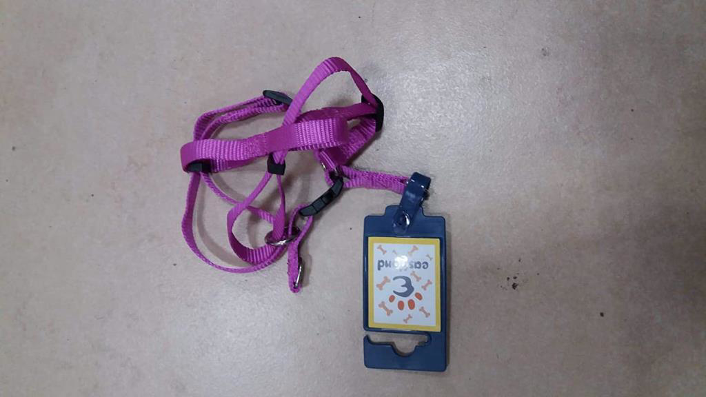 Eastland Orta Boy Köpek Göğüs Tasma M