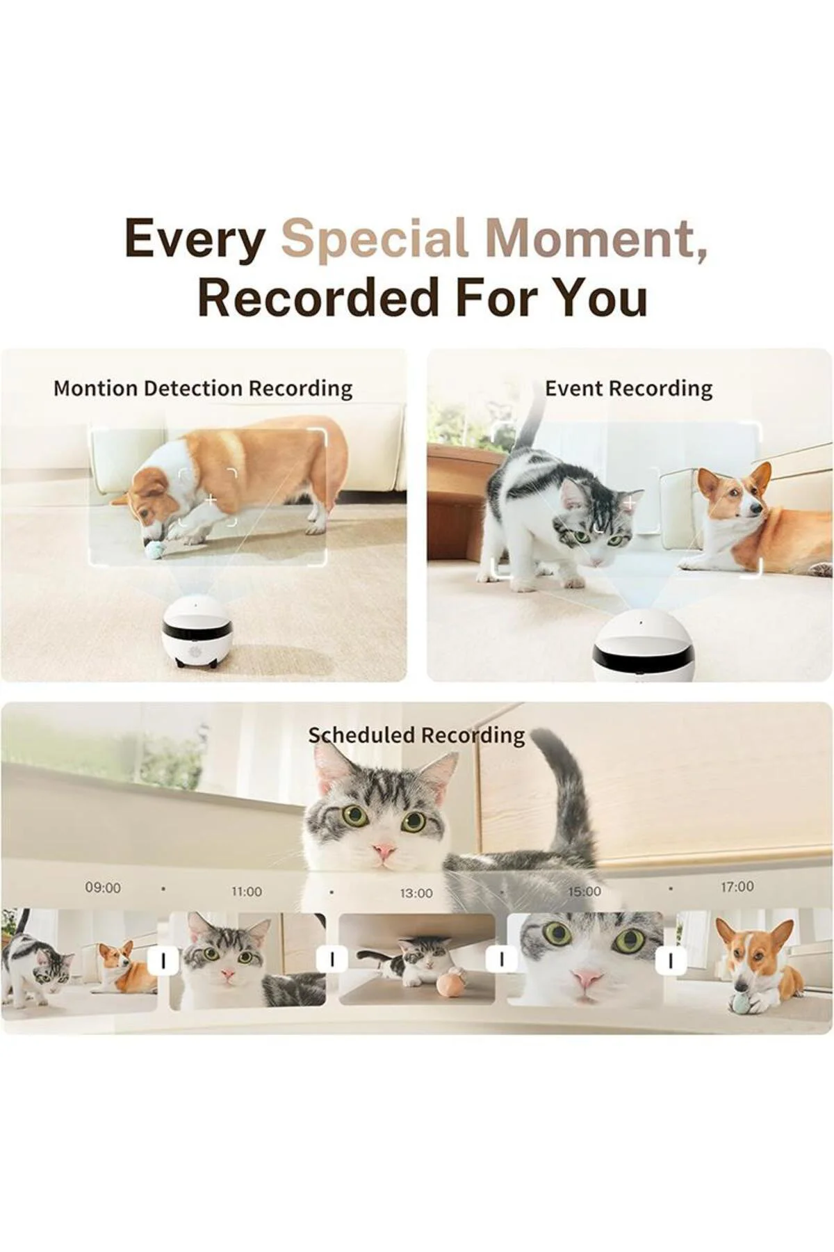 EBO ROLA Mini 2K Pet Kamera Robot, Mobil ve Şarj Edilebilir, 2 Yö EBO ROLA Mini 2K Pet Kamera Robot, Mobil ve Şarj Edilebilir, 2 Yö