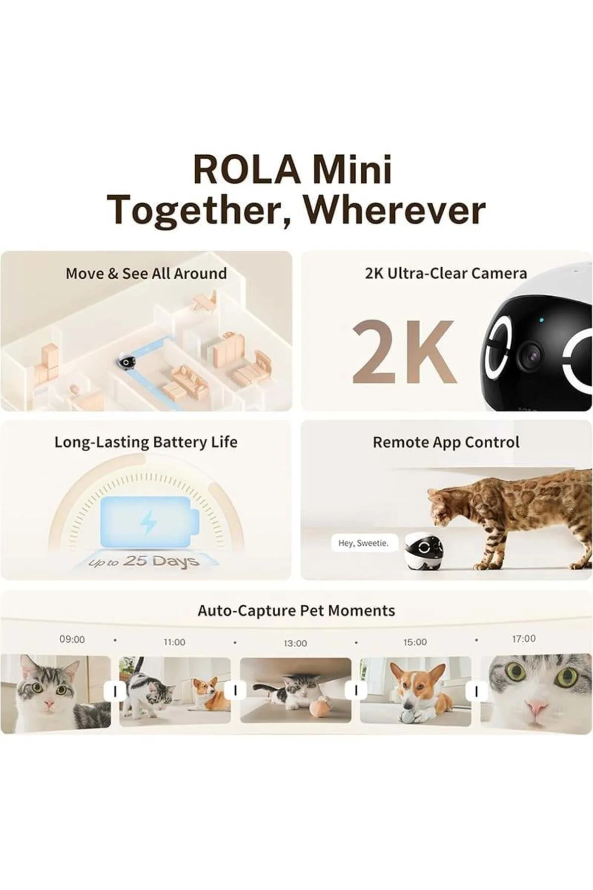 EBO ROLA Mini 2K Pet Kamera Robot, Mobil ve Şarj Edilebilir, 2 Yö EBO ROLA Mini 2K Pet Kamera Robot, Mobil ve Şarj Edilebilir, 2 Yö